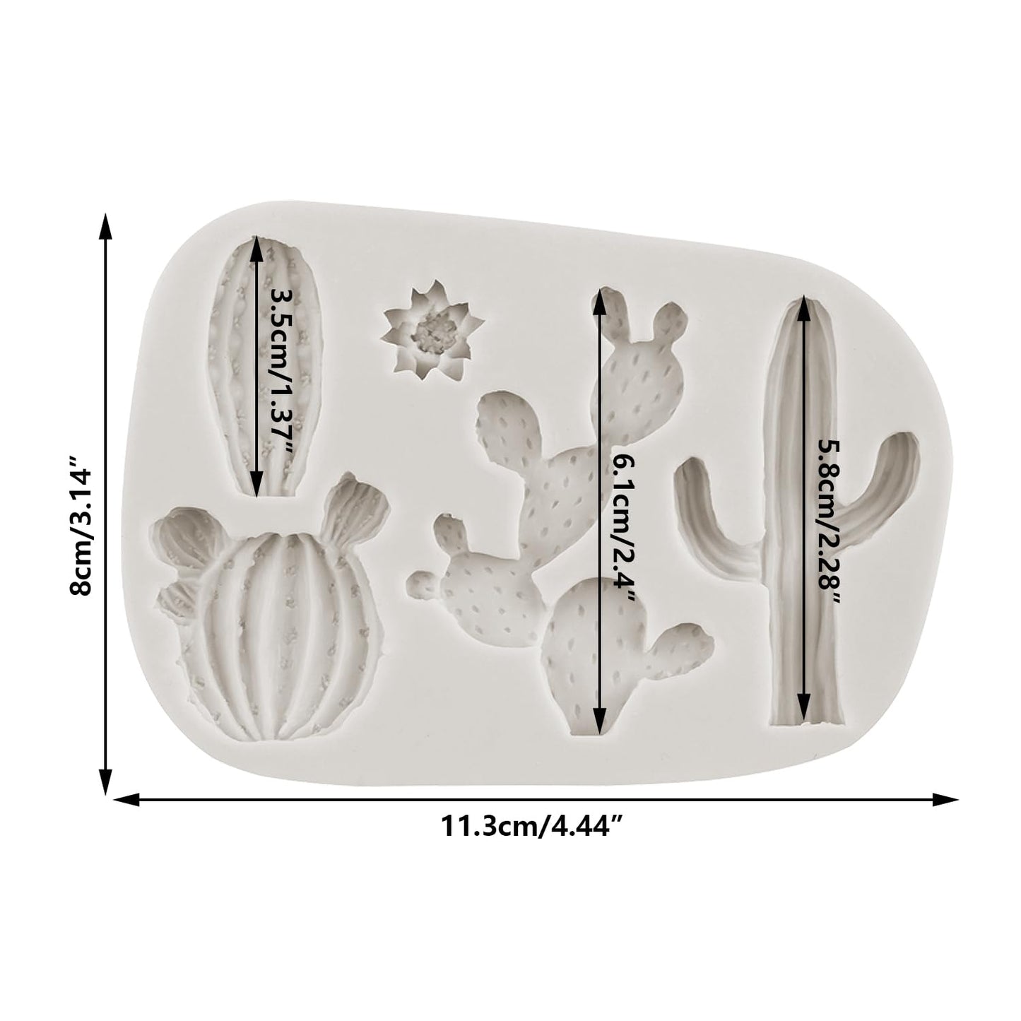 Forma Silicon Cactus Multimodel