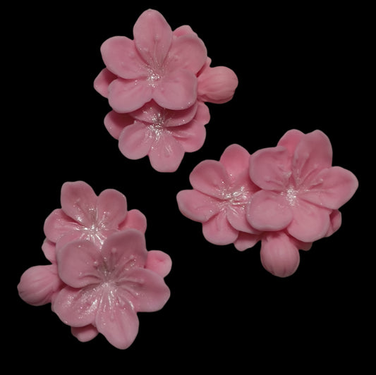 Set Flori PDZ Model 12
